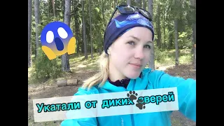 Покатушки на велосипеде от первого лица.УКАТАЛИ ОТ ДИКИХ ЗВЕРЕЙ✅