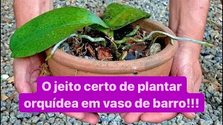 COMO PLANTAR ORQUÍDEA EM VASO DE BARRO? Isso você nunca viu!!!