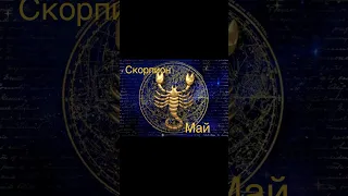 Скорпион - Май 2023