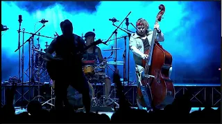 Steve and the Seagulls - The Trooper (live)