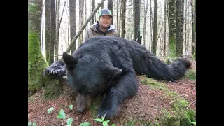 New Brunswick Black Bear Hunt Part #2