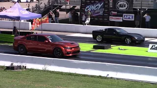 Supercharged C6 Corvette vs Hellcats & Redeye Charger Drag Race