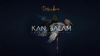 Descubre Kan Balam un desarrollo Premium en Tulum