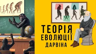 Теорія Еволюції Дарвіна | Еволюція видів тварин українською біологія 9 клас