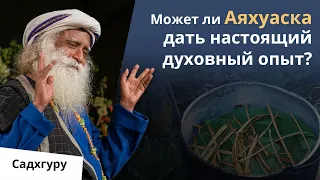 Психоделики, Аяхуаска и духовный опыт