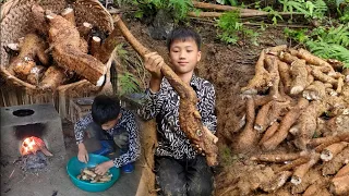 Full video: Harvesting vegetables and fruits to sell - The off-grid life of orphan boy NAM