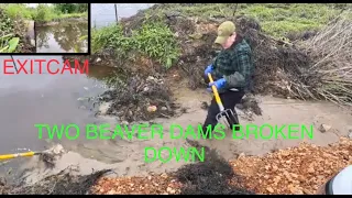 TWO BEAVER DAMS BUSTED UP! 4/23-25/23