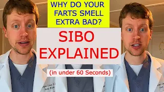 SIBO (Small intestine bacterial overgrowth) Explained in 60 Seconds