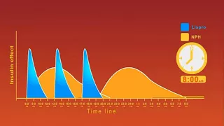 Insulin Regimens animation