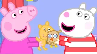 Świnka Peppa 🧸 Nocowanie | Bajki Po Polsku | Peppa po Polsku