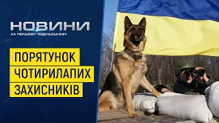 Вкотре фахівці військового ветеринарного шпиталю виїхали до «гарячих» регіонів