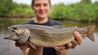 Michigan BROOK TROUT Fishing