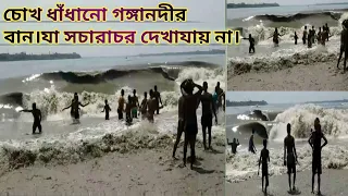 Ganga nodir ban || high tides in the ganga river || kolkata ganga ban || ban in ganga river.