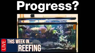 Biggest Changes in Reefing Over the Past 8 to 18 Years?