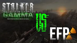 Stalker GAMMA or EFP, Which is the BEST?