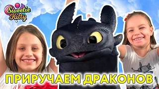 КАК ПРИРУЧИТЬ ДРАКОНА КИТТИ - ВИКИНГ ЧЕЛЕНДЖ | HOW TO TRAIN DRAGON CHALLENGE