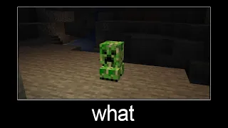 Minecraft wait what meme part 113 (parrot in glass)