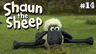 Scrumping | Shaun the Sheep Season 1 | Full Episode