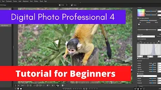 Canon DPP4 beginners tutorial 2021| Digital Photo Professional | Edit RAW files | Adjust your photo|