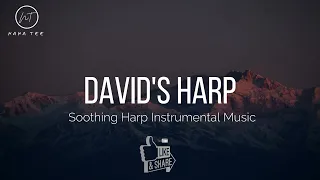 DAVID'S HARP // 1 HOUR SPIRIT-FILLED INSTRUMENTAL MUSIC // HEALING  MUSIC // RELAXING MUSIC