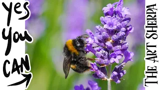 Bumblebee Lavender flower 🌟🎨 How to paint acrylics for beginners: Paint Night at Home