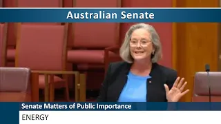 Senate Matter of Public Importance - Energy