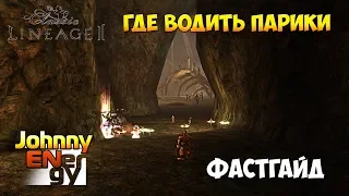 Где водить Парики | Lineage 2 Classic Seven Sign | Фастгайд #13