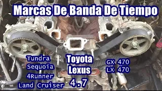 Marcas De Banda De Tiempo Toyota 4.7 Tundra Sequoia 4runner Land Cruiser