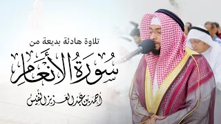 وله ما سكن في الليل والنهار | تلاوة هادئة بديعة من سورة الأنعام