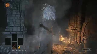 Dark Souls 3 Playing as Nameless King vs Old Demon King