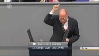 Gregor Gysi: "Das gibt ein böses Erwachen" (Euro-Krise)