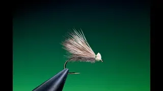 Fly Tying a CDC Elk hair caddis/sedge with Barry Ord Clarke