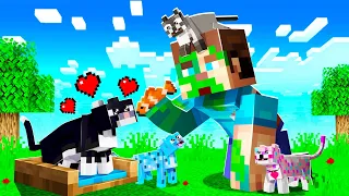 10 *CUTE* KITTENS MINECRAFT SHOULD ADD!