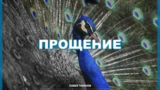 Павел Таранов - «Прощение»