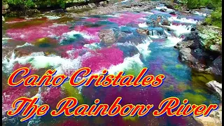 Mysterious Rainbow River “Caño Cristales” La Macarena, Colombia, Unsolved Natural Wonders of Worlds