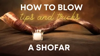 Tips on How to Play the Shofar and Get Some Sound!