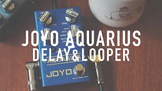 Joyo R-07 Aquarius Delay - Delay Demo