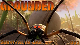 Spinnen mit dem Stein erschlagen 🌿  Let´s Play Grounded 002