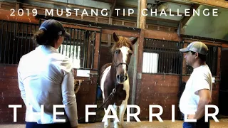 Wild Horse meets Farrier | 2019 Mustang TIP Challenge