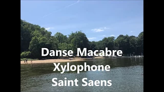 Saint Saens - Danse Macabre Xylophone