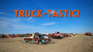 Abandoned in a Kansas Field! Farm Trucks, Tractors & Cars! Chevy, IHC, Ford, Dodge, GMC, Case, MM!
