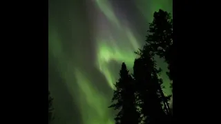 Northern Lights Create Bright Green Skies Amid Severe Geomagnetic Storm