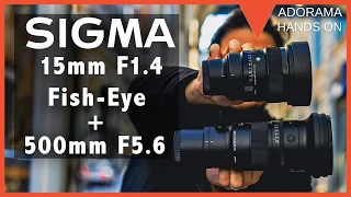 SIGMA 500mm f5.6 DG DN OS S and 15mm f1.4 DG DN Diagonal Fisheye Lenses | Testing and Reflecting