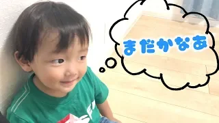 ティーンの抱っこでお昼寝❤️するかと思いきや･･【ココロマン普段の様子】