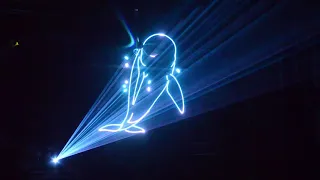 Newest laser lights  Full Color 3D Animation RGB Laser light Laser Projector disco light