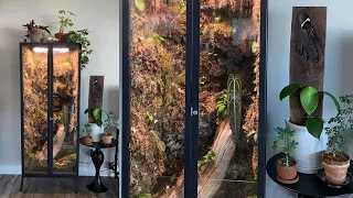 Houseplant Greenhouse Cabinet Setup Upgrade your GLASS Cabinet step by step tutorial | How To IKEA