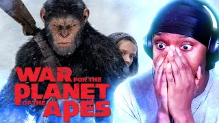 FIRST TIME WATCHING *WAR OF THE PLANET OF THE APES*