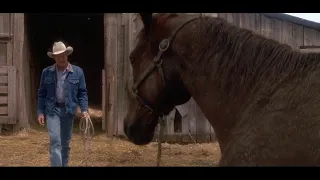 The Horse Whisperer - first look at Pilgrim