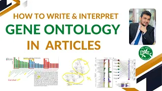 How to write and interpret gene ontology (GO) in research articles ?