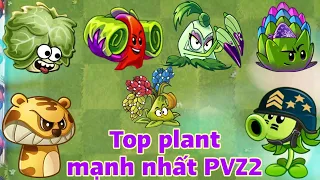 PVZ2 Discovery - Top 5 plant mạnh nhất game - PVZ2 MK